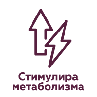 Метаболизъм